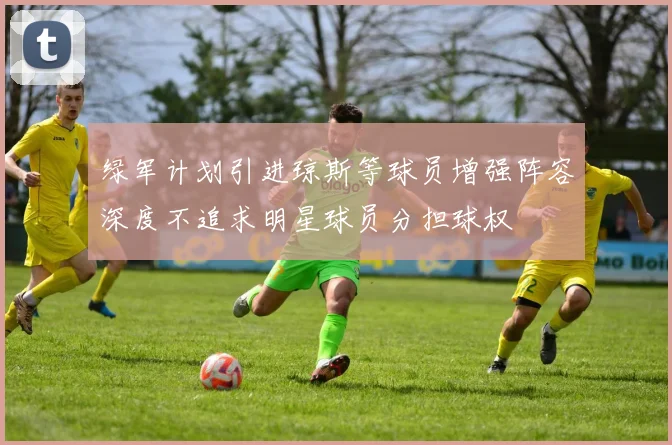 绿军计划引进琼斯等球员增强阵容深度不追求明星球员分担球权
