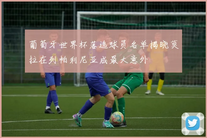 葡萄牙世界杯落选球员名单揭晓莫拉在列帕利尼亚成最大意外